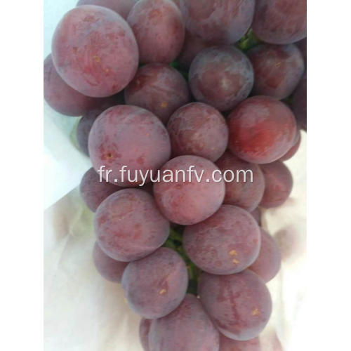 yunnan raisins rouges frais